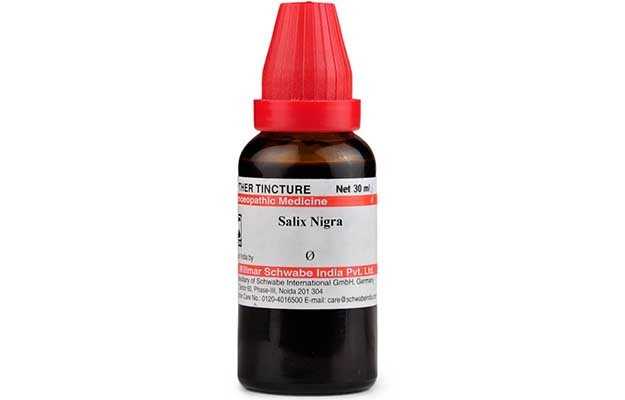 Salix Nig MT Q 20ML (Sealed)